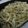まな竜's cooksnap of when they made あっさり塩焼きうどん.