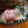 Cookingmam's cooksnap of when they made ささみとトマトのチーズ焼き.