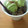 suwamama's cooksnap of when they made とろ～りお豆腐餅の和風(ご褒美）パフェ.