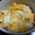 leytan's cooksnap of when they made 簡単ふわとろ天津飯.
