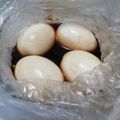 さとみにぃ～'s cooksnap of when they made おいしい卵.