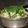 くらま's cooksnap of when they made すぐできる♪野菜てんこ盛りスタミナ鍋!?.