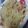 たろすけちゃん's cooksnap of when they made トマトとモッツァレラのパスタ♪.