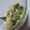 たろすけちゃん's cooksnap of when they made 簡単！高野豆腐のマヨわさび醤油和え.