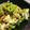 yukanosuke's cooksnap of when they made ゴーヤで副菜☆簡単炒め.