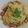 lowfatman's cooksnap of when they made 簡単☆たけのこと厚切りベーコンのパスタ♪.