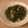 ローズレース's cooksnap of when they made おかひじきの速攻炒め.