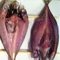 ノイママ's cooksnap of when they made 手作り干物を作ろう.