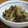 うさぎのシーマ's cooksnap of when they made １０分でできます！きのこの土佐煮.