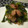 大魔女's cooksnap of when they made まぐろの生のり和え☆.