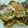 cheesedog's cooksnap of when they made お豆腐と白身魚のハンバーグ☆.