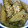 shimyu's cooksnap of when they made ごぼうの煮物♪.