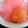 園田ひろ's cooksnap of when they made プラムのコンポート.。o○.