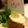 あい葉's cooksnap of when they made ネコムライス.