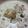 ゆっちゅxxx's cooksnap of when they made 鶏肉とキノコのクリームソース.