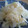 やまちゃんクッキング's cooksnap of when they made 北欧風 新じゃがのヨ−グルトサラダ.