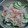 はあとん's cooksnap of when they made きゅうりと切干大根のナムル風.