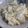 鷹槻れん's cooksnap of when they made きゅうり、玉ねぎ、ツナのさっぱりサラダ.