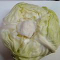 ちゃかちゃかちゃん's cooksnap of when they made まるまるキャベツの保存法.