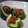 ☆てる子☆'s cooksnap of when they made お花型　もろきゅう　（飾り切り）.