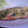 ぶぶじじころ's cooksnap of when they made 鮭の胡麻マヨネーズ焼き.
