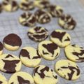 たい焼き好きのトラ's cooksnap of when they made 簡単★アイスボックスクッキー　話題入り！.