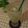 Drako's cooksnap of when they made 杏酒のサイダー割.