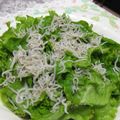 ともこキッチン's cooksnap of when they made サニーレタスとじゃこの簡単サラダ.