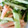 熊人すみこ's cooksnap of when they made きゅうりとハムのからしマヨあえ.