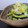 kookuro's cooksnap of when they made かぼちゃの白和え.