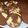 ちゅうがく's cooksnap of when they made 【更新】ホットケーキミックスで【簡単ココアクッキー♪】.