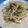 ＰＡＳＳ's cooksnap of when they made 簡単☆もやしとシーチキンのさっぱり炒め.
