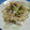 ＰＡＳＳ's cooksnap of when they made 簡単☆もやしとシーチキンのさっぱり炒め.