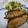 えいきー's cooksnap of when they made ふっくらブリの照り焼き.