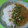 ☆★ひよこ★☆'s cooksnap of when they made 我が家の定番♪オクラの卵かけご飯☆.