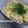 ＨＥＷＡ's cooksnap of when they made 夏休みに！☆揚げ玉と卵で節約丼☆.