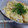 ＨＥＷＡ's cooksnap of when they made 夏休みに！☆揚げ玉と卵で節約丼☆.