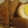 kyokomama's cooksnap of when they made 手羽先とだいこんのとろとろ煮.