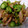 peru0826's cooksnap of when they made NEWくらげときゅうりの中華あえ.