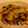 syerusyeru's cooksnap of when they made 早うま！たけのこと大葉のごま炒め☆.