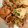 kanare's cooksnap of when they made たけのこと豚コマの甘辛オイスター炒め♪.