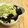 みみんご。's cooksnap of when they made 簡単‼我が家のナス.