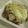 miyuki12's cooksnap of when they made 【たこ焼き02】たこ焼きグラタン.