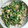 華蛇姫's cooksnap of when they made ほうれん草の玉子とじ.