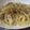Ｍぱん's cooksnap of when they made とろとろさっぱり♡生姜が優しい焼きうどん.