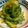 kizisiroふう's cooksnap of when they made ゴーヤのお漬物.