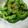 かぴーな's cooksnap of when they made ゴーヤーのエスニック炒め.