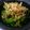 ぐりぐらぐりぐら's cooksnap of when they made ピーマンの煮浸し.