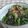 umemodoki's cooksnap of when they made モロヘイヤのお浸し。.