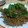 すぷー。's cooksnap of when they made ピーマンとしらすの炒め物.